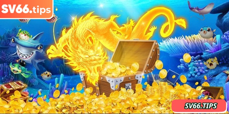 Bỏ qua việc tìm hiểu kỹ hướng dẫn là một sai lầm nghiêm trọng